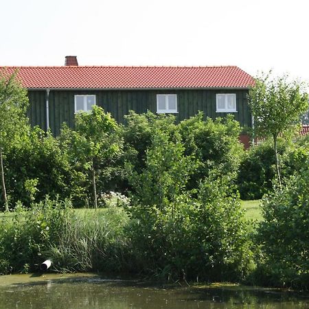 " Haus Zwischen Den Meeren " Strubbel Luaran gambar