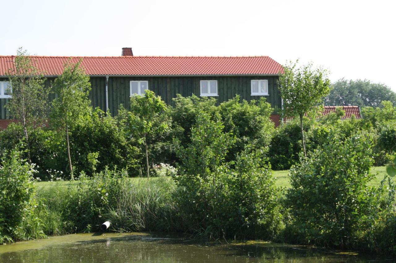 " Haus Zwischen Den Meeren " Strubbel Luaran gambar