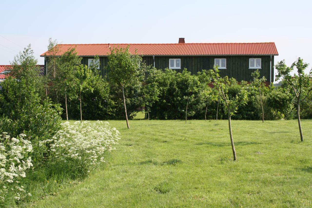 " Haus Zwischen Den Meeren " Strubbel Luaran gambar